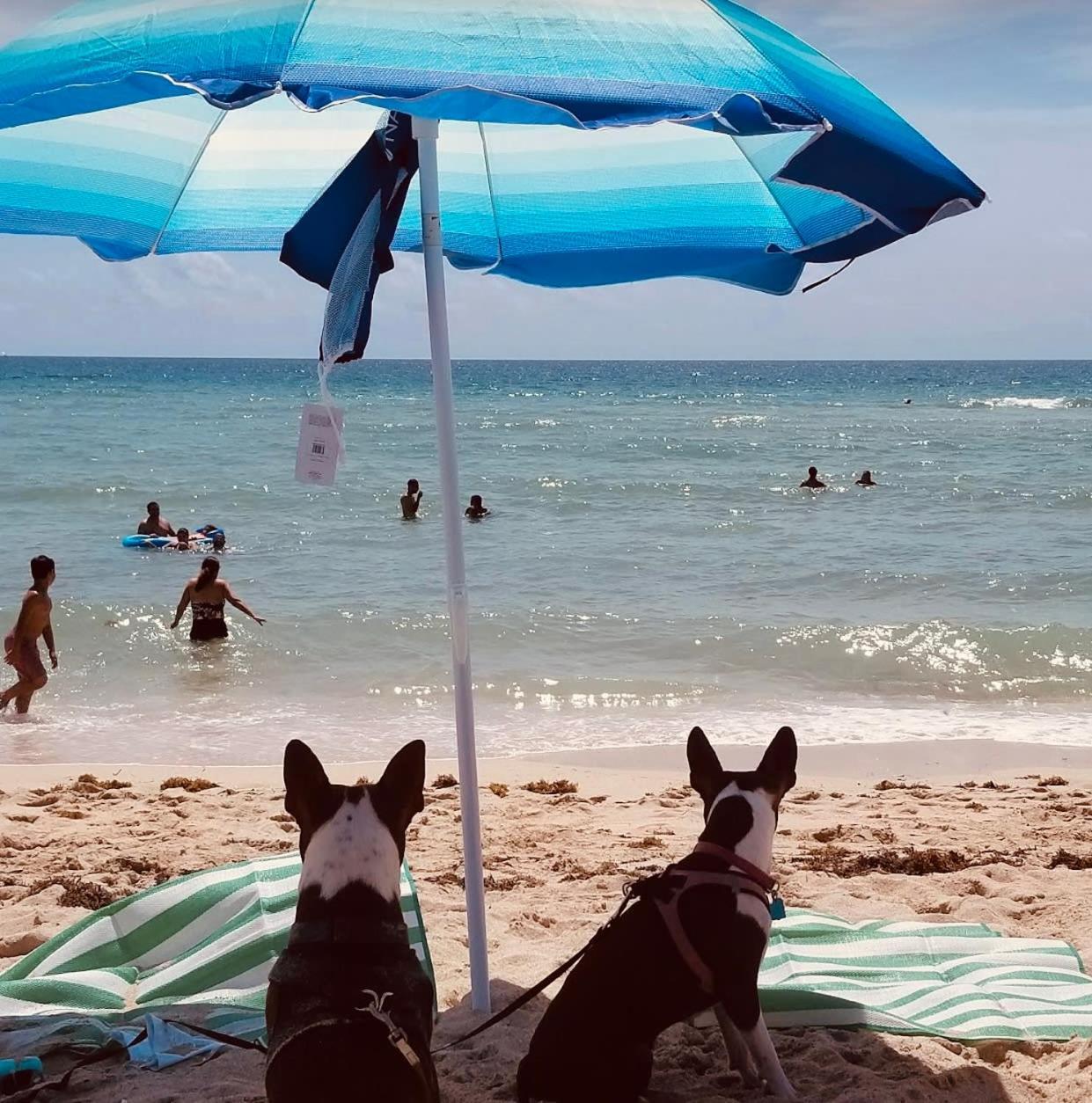 Steps To Sea Miami Beach Free Parking Pet & Family Friendly Apartment Exterior photo
